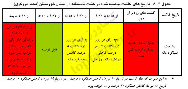 تاریخ و زمان کاشت ذرت در استان خوزستان تاریخ و زمان کاشت ذرت در استان خوزستان