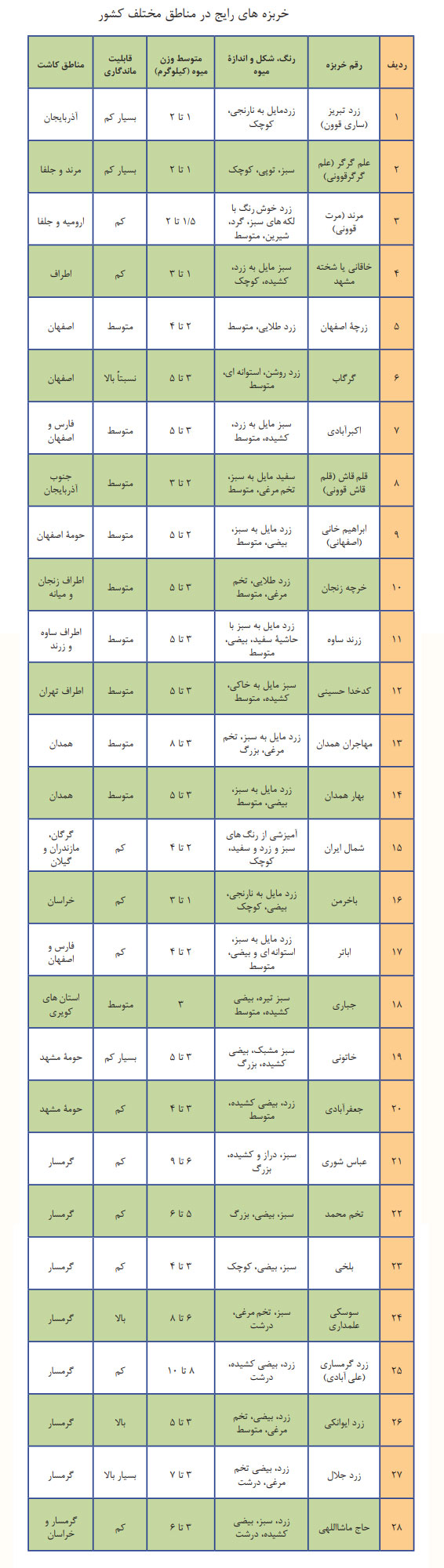 کاشت خربزه و ارقام مختلف خربزه