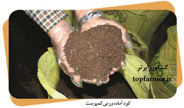 ورمی کمپوست چیست؟ ورمی کمپوست چیست؟