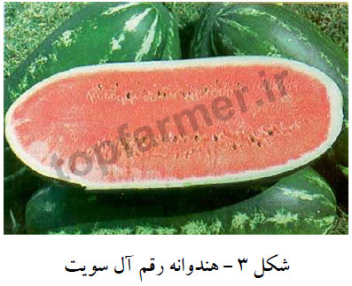 هندوانه آل سویت هندوانه آل سویت